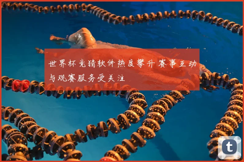 世界杯竞猜软件热度攀升 赛事互动与观赛服务受关注