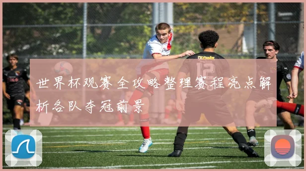 世界杯观赛全攻略整理赛程亮点解析各队夺冠前景