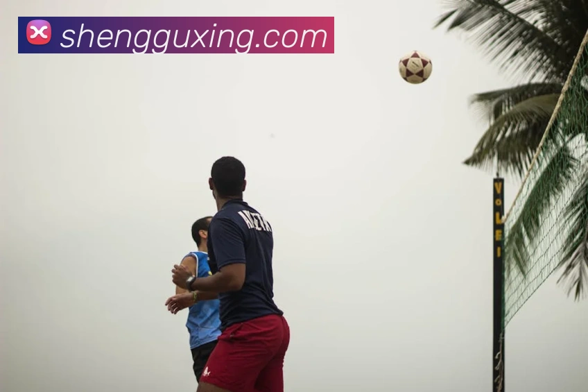 开云app登录入口下载平台生态图