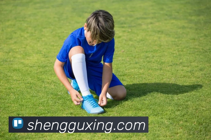 开云app登录入口下载APP 封面图